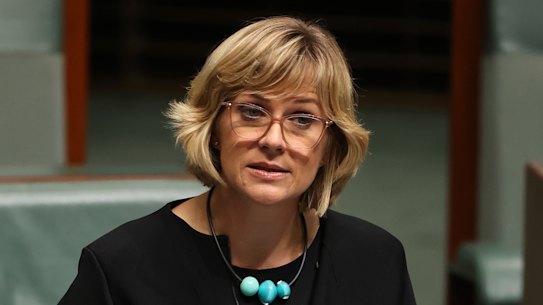 Warringah MP Zali Steggall says the donations were disclosed in accordance with electoral requirements.