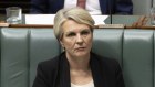 “Greens voters would actually be shocked to see Greens members of parliament getting ready to sit next to Peter Dutton and Barnaby Joyce to vote against action on climate change,” said Tanya Plibersek this week.