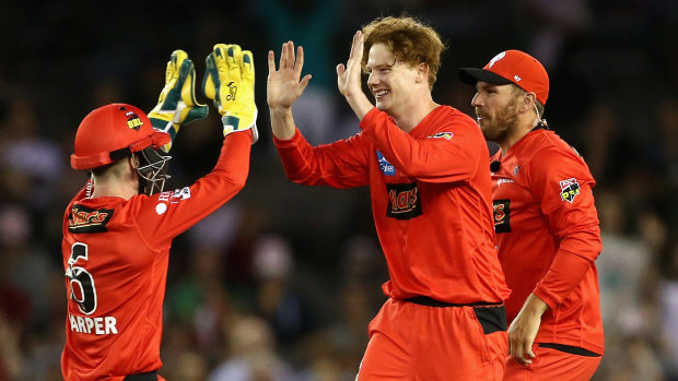 Bright spot: Tom Andrews gives the Renegades something to celebrate after taking the wicket of Sydney's Josh Philippe.