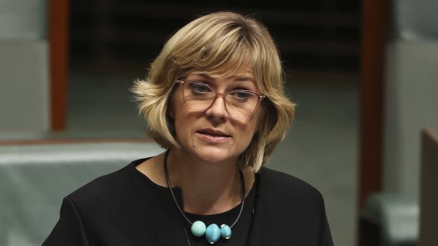 Warringah MP Zali Steggall says the donations were disclosed in accordance with electoral requirements.
