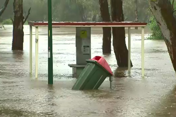 A rubbish bin floats in floodwaters in Seymour.