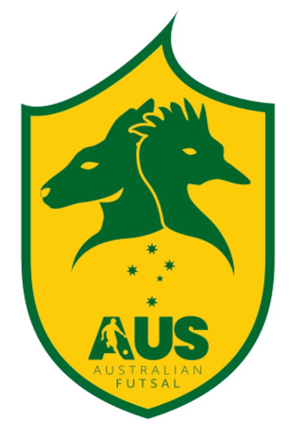 The AFA has used many logos, including this one, since they were stopped from using the national coat of arms.