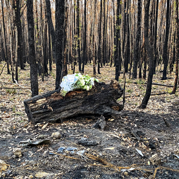 Hannah McGuire, 23, was found dead in her torched car in the Ross Creek State Forest on Friday morning. Her family left flowers and a card at the site.