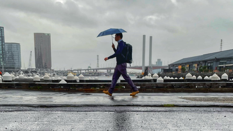 ‘Nuisance’ rain on the way as Melbourne’s cold, foggy mornings roll on