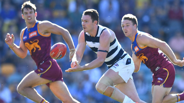 Top Cat: Geelong's Patrick Dangerfied (centre) could pick up his second Brownlow Medal.