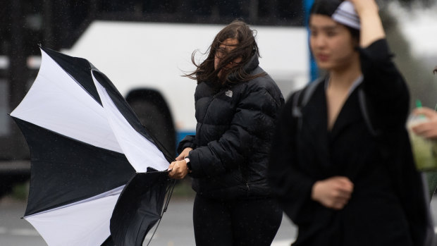 Wild weather is forecast to sweep from the far south of NSW to the Mid North Coast from Monday afternoon. 