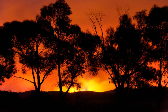 The Black Saturday bushfires followed a period of drought and extreme heat.