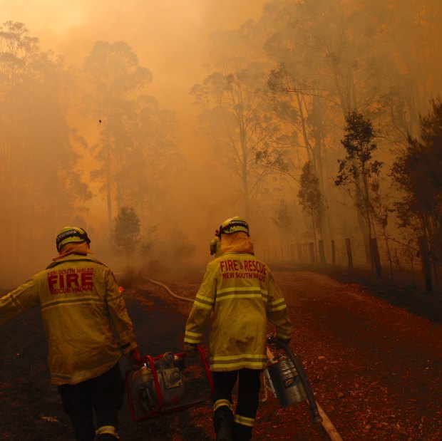 Firefighters north of Forster near the junction of the Pacific Highway on November 8.