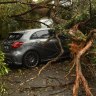 Almost 30,000 homes and businesses still without power, school closed after storm