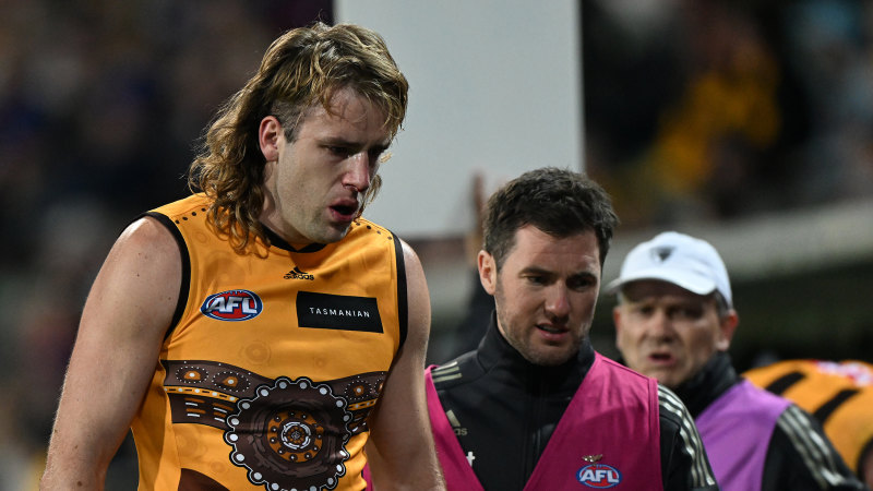 Hawk suffers second concussion, Langdon trains through pain, Dons young gun returns