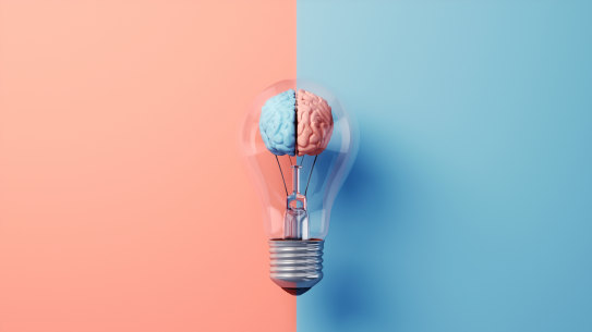 Scientists have made progress in better understanding the human brain.