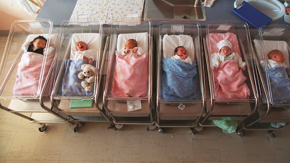 The Population Minister said there was a link between economic confidence and the fertility rate.