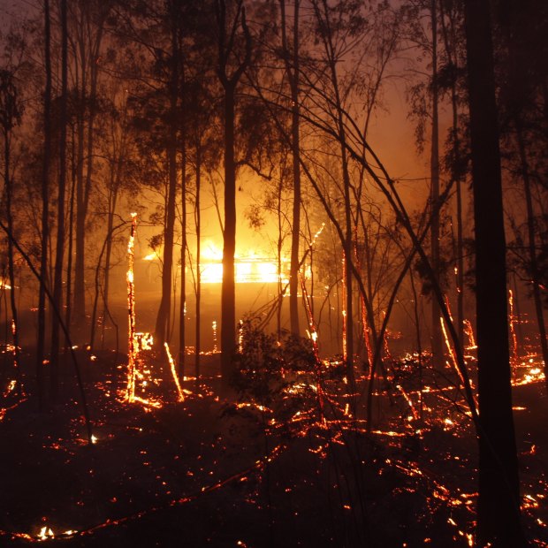 "We knew we were in for a difficult fire season," says NSW Rural Fire Service's Rob Rogers. "But I've been doing this for 40 years, and I had no idea of just how tough it was going to be."