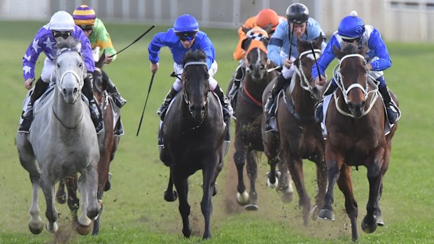 She's the greatest: Winx races into history with 26th straight win