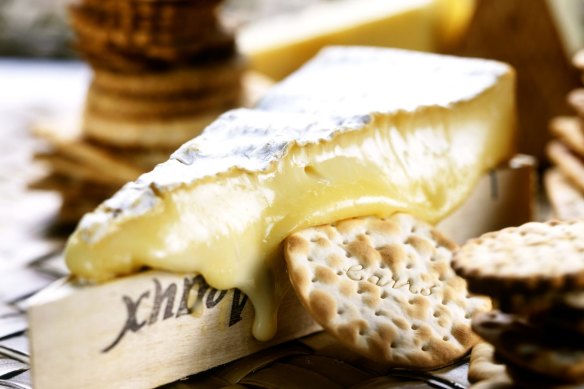 Ripe brie, ready to eat – but potentially in danger of extinction.