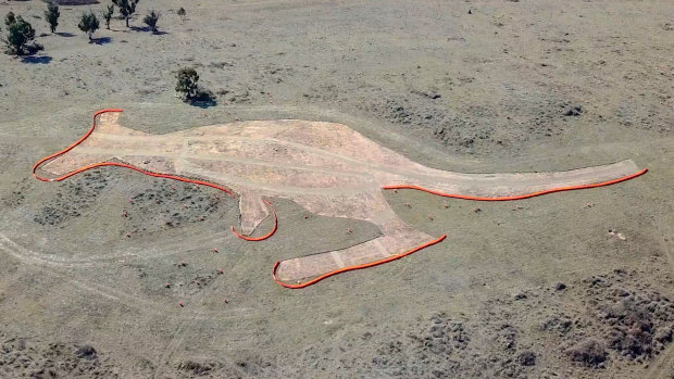 Molonglo River Reserve’s giant kangaroo.