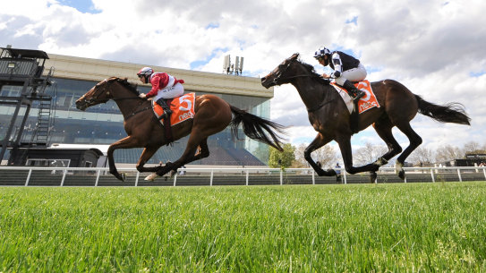 Arcadia Queen ridden by William Pike wins the Neds Stakes at Caulfield Racecourse on October 10, 2020 in Caulfield, Australia. (Brett Holburt/Racing Photos via Getty Images)