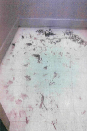 Photos from FOI email exchanges show the filthy inside of a lift inside Park Towers in August 2016.