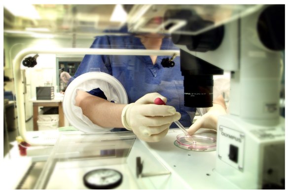 An embryologist at the Monash Medical IVF clinic at the Epworth Hospital.