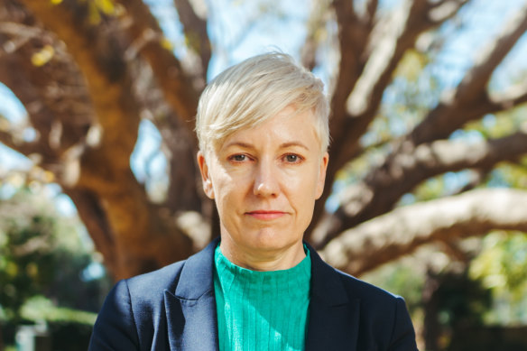 NSW Greens MP Cate Faehrmann said the current government was continuing a dangerous “business as usual” approach on drug policy.