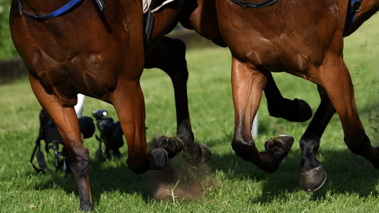 Warm, partly cloudy weather is expected for Goulburn, with a good track, on Sunday.