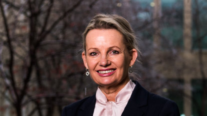 ‘People were fed up’: Sussan Ley on her punk past, feminism and why the Liberals lost