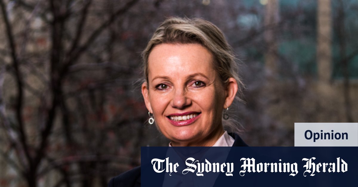 'People were fed up': Sussan Ley on her punk past, feminism and why the Liberals lost - Vimarsana News