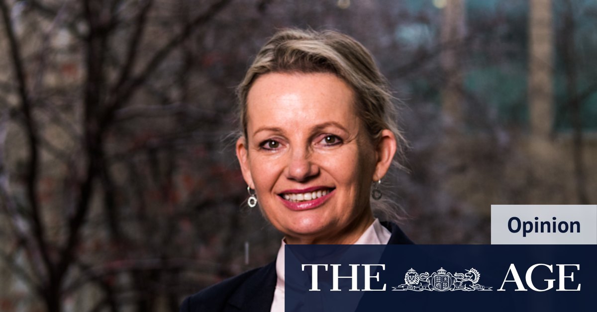 'People were fed up': Sussan Ley on her punk past, feminism and why the Liberals lost - Vimarsana News