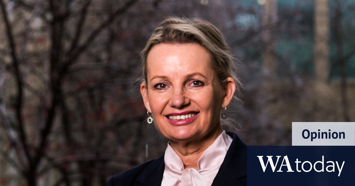 'People were fed up': Sussan Ley on her punk past, feminism and why the Liberals lost - Vimarsana News