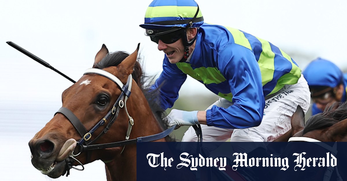 Mitchell Freedman on same path to conquer Hill Stakes at Rosehill again with Attrition