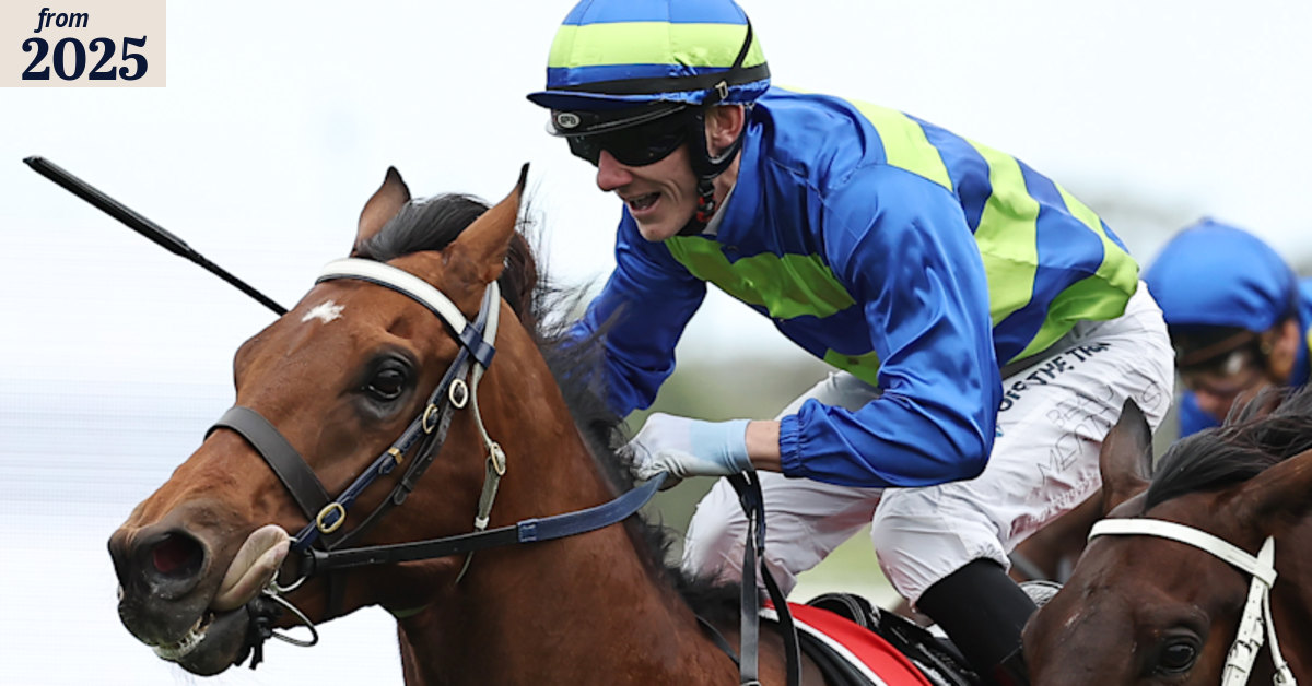 Mitchell Freedman on same path to conquer Hill Stakes at Rosehill again ...