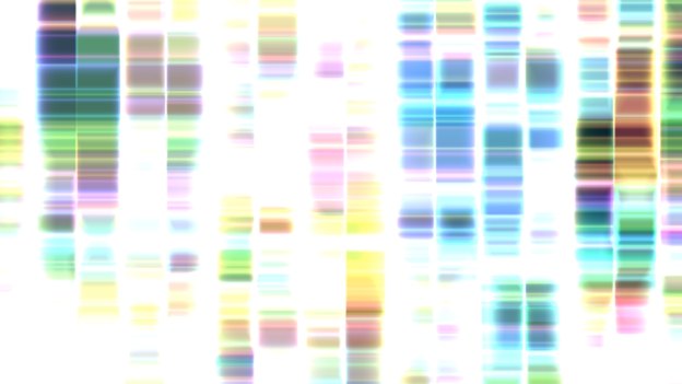 Once an amateur pastime practised in the dusty basements of public libraries and community centres, genealogy is now a mainstream pursuit.