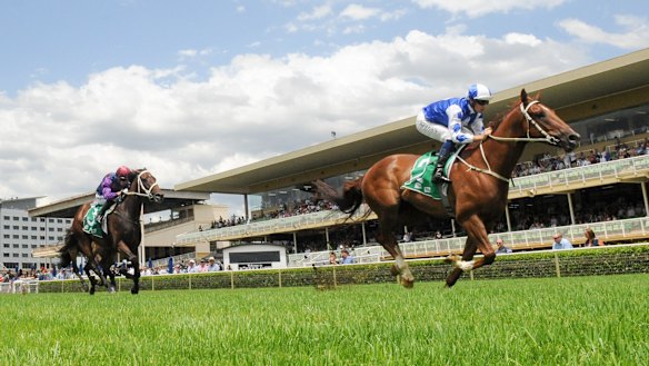 Noble Boy has booked his ticket to the Country Championships on April 6. 