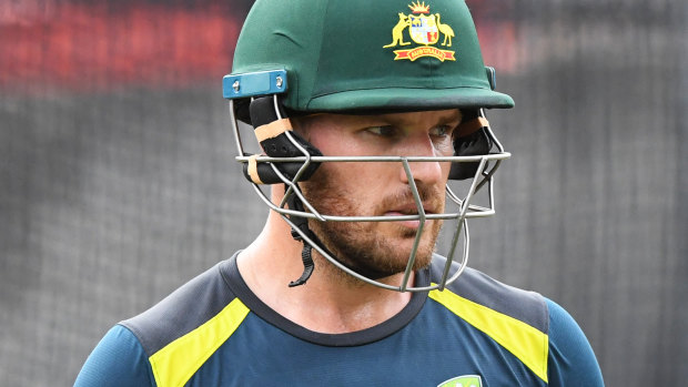 Selectors with input from Aaron Finch are preparing to pick a 15-man World Cup squad.