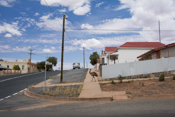 Also a finalist in the Australian Life photography prize: an emu seeks food and drink in Broken Hill during the drought. 
