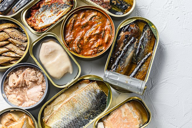 Tin cans for processed food cans conserve Saury, mackerel, sprats, sardines, pilchard, squid, tuna pinapple, corn, peas, mango , beans, over white textured background overhead view space for text.
