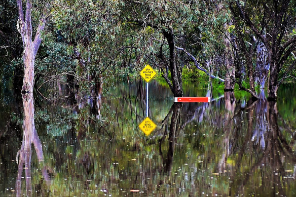 A flooded road in Echuca.