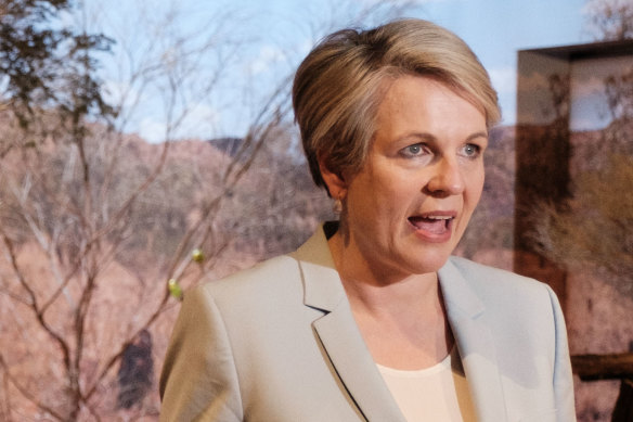 Environment Minister Tanya Plibersek has addressed the Bureau of Meteorology’s rebranding.