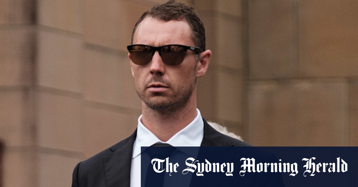 Plutus Payroll tax scam fraudster Patrick Willmott jailed for nine years - Vimarsana News