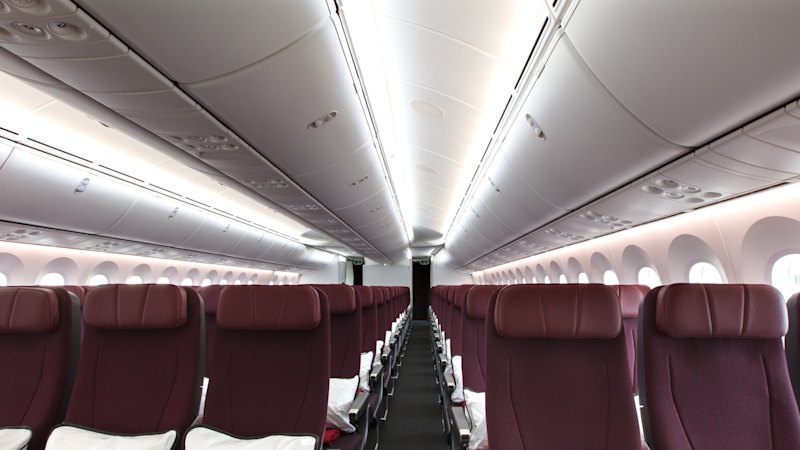 Bed Bugs Ground Qantas Rome-to-Perth Flight