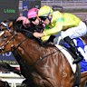 Race-by-race previews and tips for Sunday’s meeting at Wyong