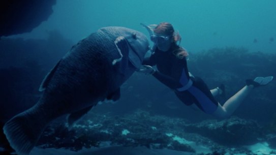 Ilsa Fogg as Abby has an up-close encounter with Blueback the groper in a scene from the film.
