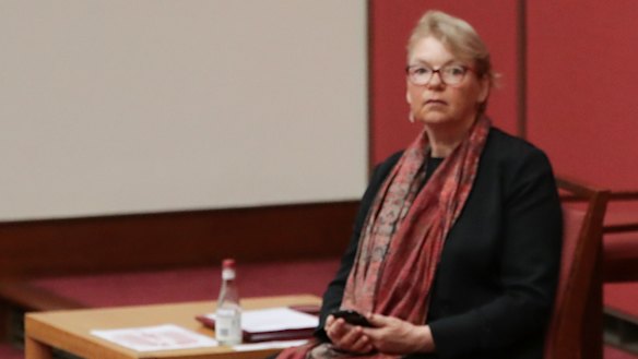 The national regulator AHPRA is under the spotlight in a parliamentary inquiry headed by Greens senator Janet Rice.