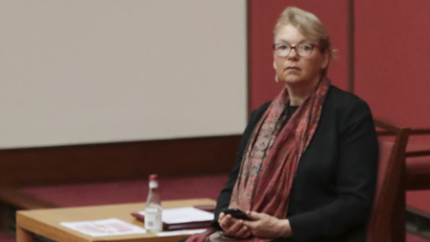 The national regulator AHPRA is under the spotlight in a parliamentary inquiry headed by Greens senator Janet Rice.