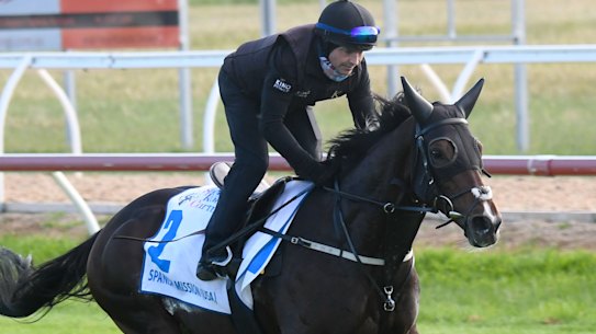 Spanish Mission during trackwork at Werribee Racecourse last week.