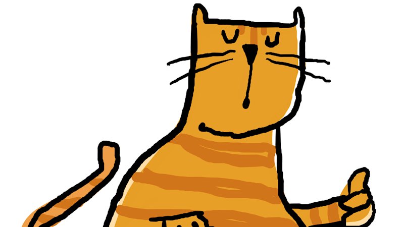 What should I do about a cat foster carer who can’t follow the rules?
