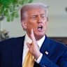 Government ‘won’t give up’ on US tariff reprieve after Trump celebrates end of beef ban