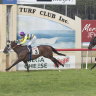 Sapphire Coast hosts an eight-race meeting on Sunday.