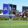 Race-by-race preview and tips for Wyong meeting on Thursday