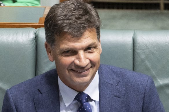 Shadow Treasurer Angus Taylor.